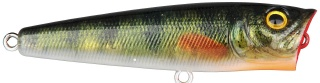 0001_Spro_Ikiru_Pop_65_[Green_Perch].jpg